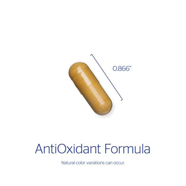 AntiOxidant Formula 120 vegcaps