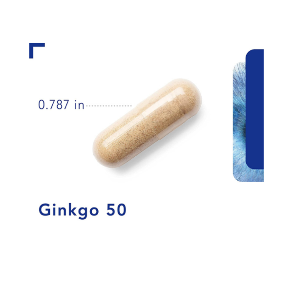 Ginkgo 50 160 mg 120 vegcaps