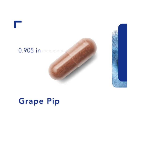 Grape Pip 500 mg 120 caps