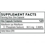 Riboflavin 5'-Phosphate 60 caps supplement fact
