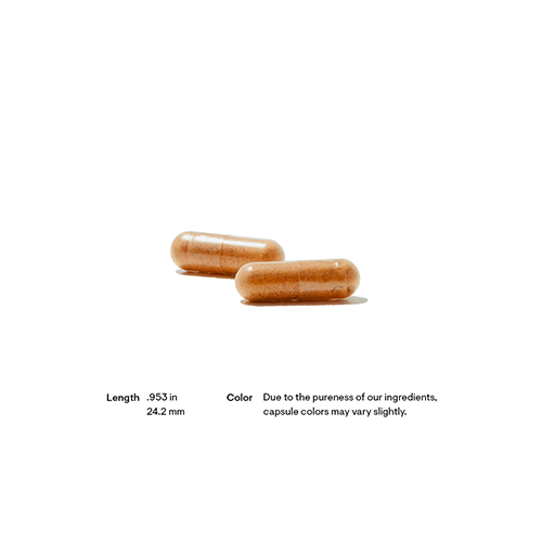 Red_Yeast_Rice+CoQ10_color