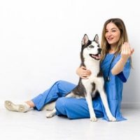 Veterinary-for-Canine